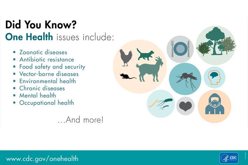 Climate Change and Disease Risk