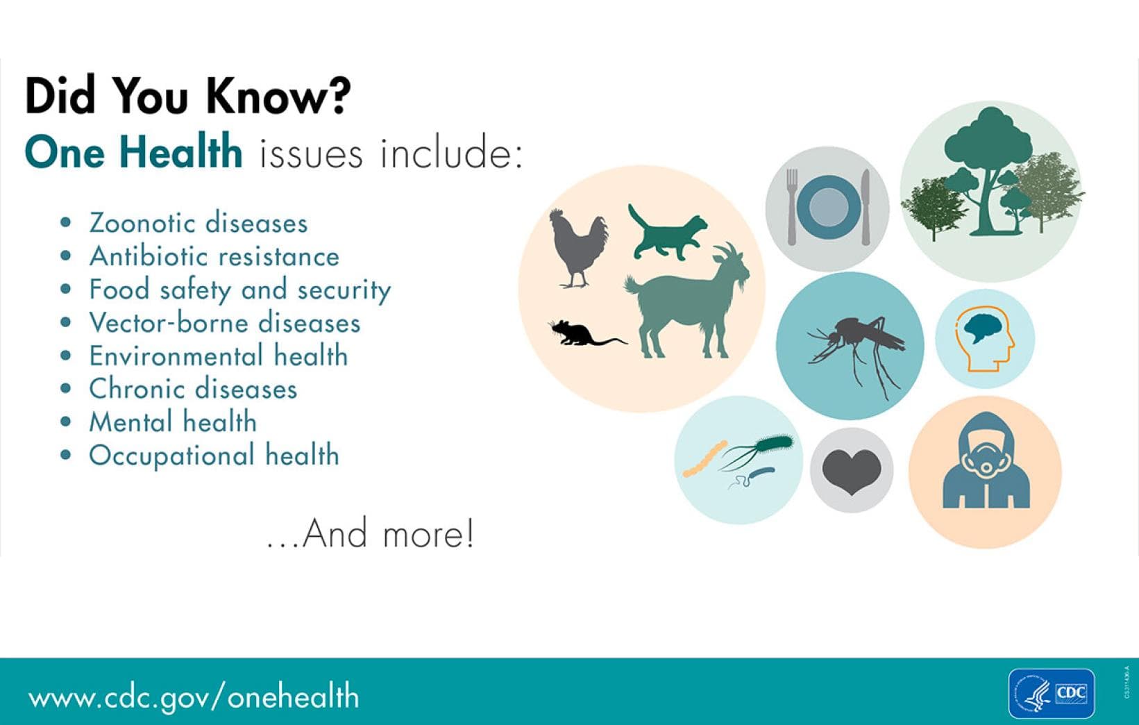 Climate Change and Disease Risk